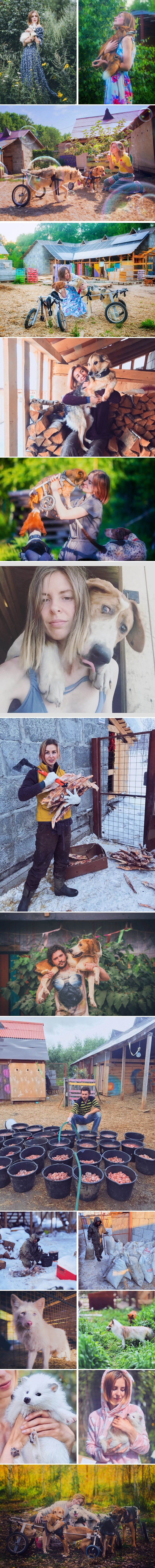 Bogata fotografkinja se preselila u šumu kako bi napravila dom za bolesne i napuštene pse