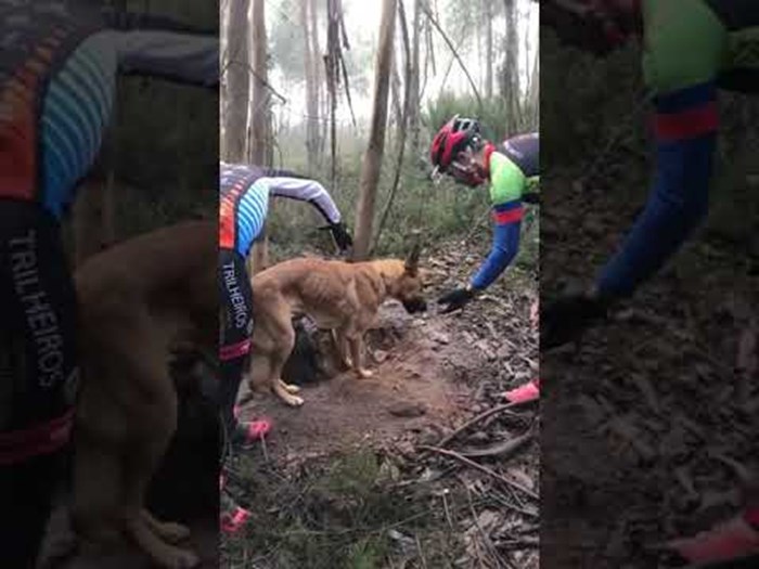 VIDEO Biciklisti slučajno naišli na grozan prizor: Pogledajte kako je netko jadnog psa osudio na smrt