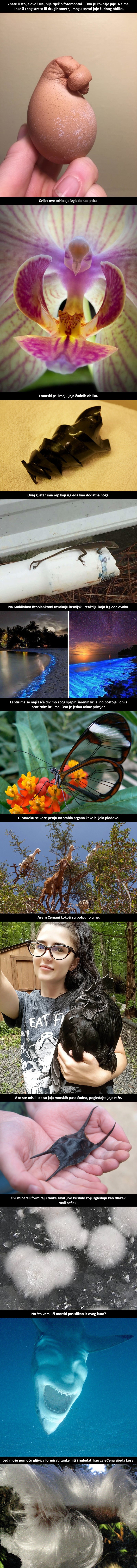 12 primjera u kojima nas je priroda začudila i iznenadila na nevjerojatan način