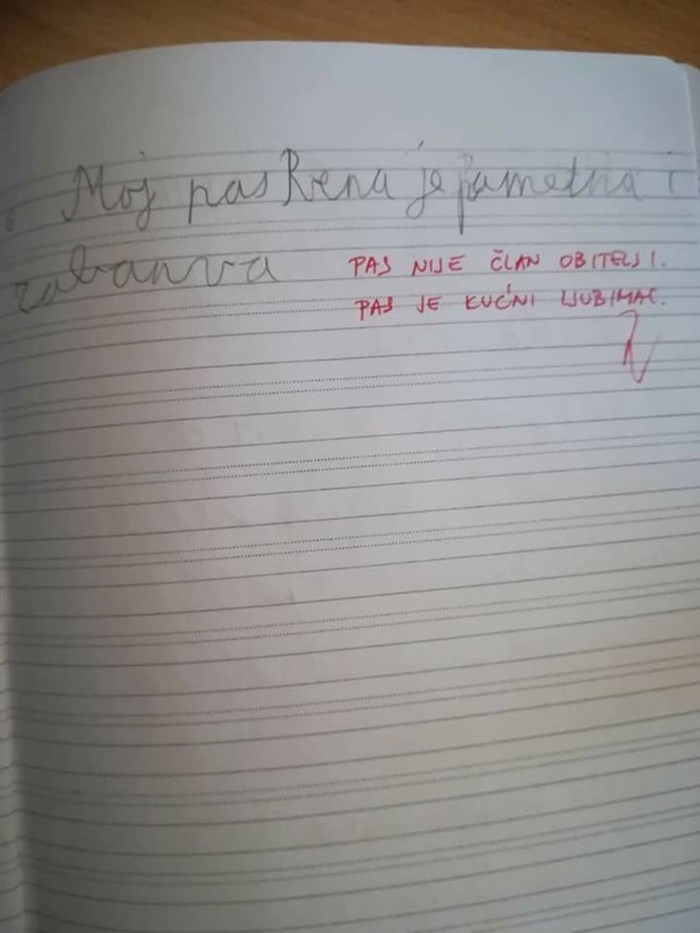 Djeca su morala napisati rečenicu o članu obitelji, učiteljica ipak nije priznala simpatično rješenje ove klinke