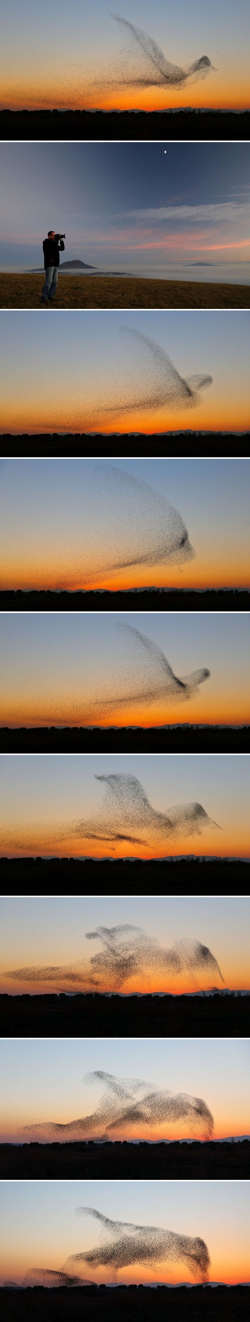 Fotograf kod kuće primijetio da je slikao fenomenalan prizor koji je moguće uhvatiti samo jednom u životu