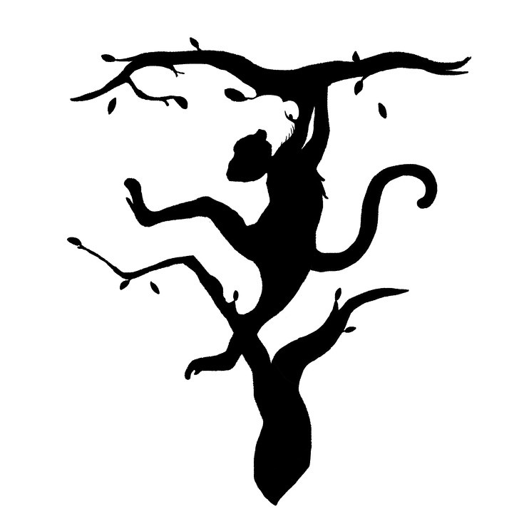 Prva životina koju vidite na ovoj slici otkriva nešto o vašoj osobnosti i načinu razmišljanja