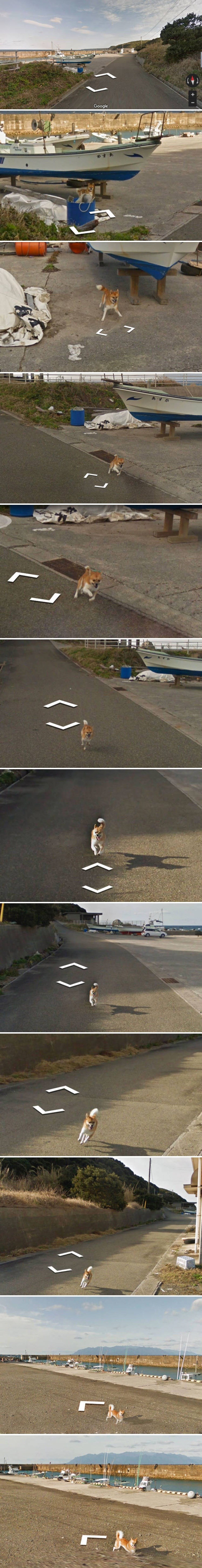 Ovaj mališan jedna je od najslađih stvari koje ćete vidjeti na Google Street View slikama