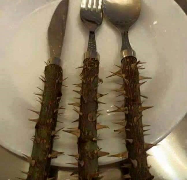 Ne pomaže vam nijedna dijeta? Vrijeme je da sebi nazavite ovakav pribor za jelo