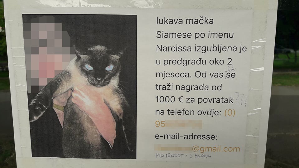 Netko pokušava pronaći izgubljenu mačku, no tekst ovog oglasa totalno zbunjuje prolaznike