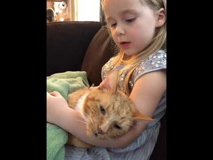 Oproštaj od voljenog ljubimca: Mama je snimila kako djevojčica posljednji put pjeva starom mačku