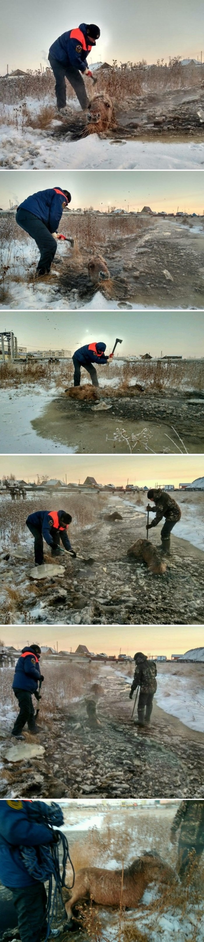 Rusi iz hladnog Jakutska spasili su konje zarobljene u ledu i podijelili nevjerojatne fotografije