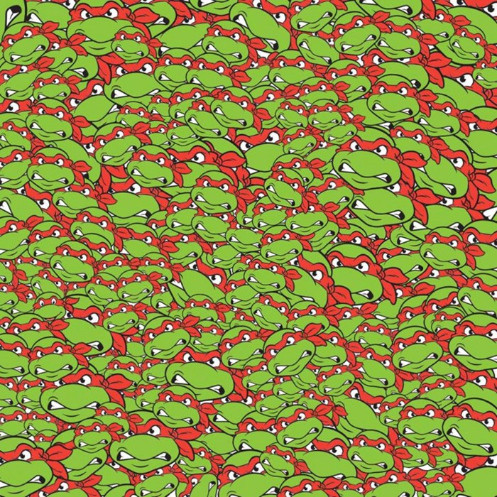 TEST ZAPAŽANJA Možete li među stotinama ljutih Ninja kornjača pronaći jednu nasmijanu?