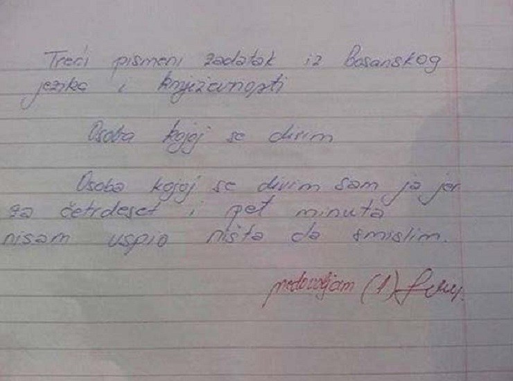 Morali su napisati sastav o osobi kojoj se dive, ovaj učenik je dobio 1 kad je profesorica vidjela što je napisao