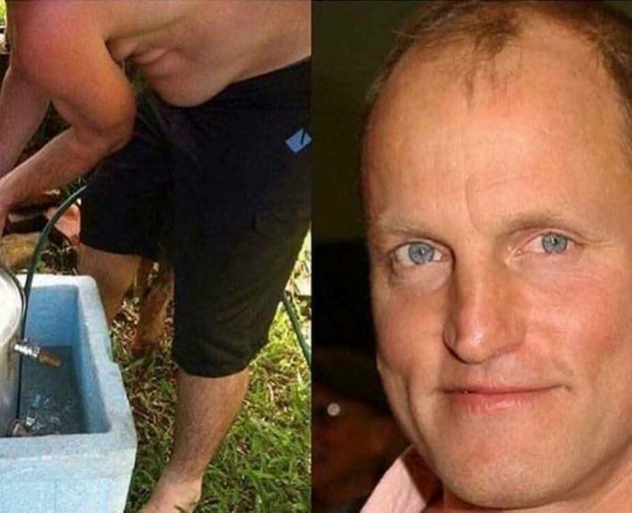 Ako pažljivo pogledate ove slike, primijetit ćete genijalne sličnosti