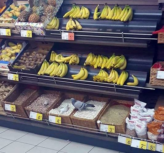 Kupac je ušao u supermarket pa ugledao nešto zbog čega mu grah nije bio pretjerano privlačan