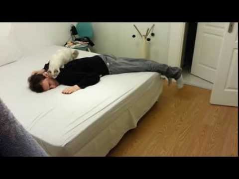 VIDEO Muškarac odglumio vlastitu smrt i provjerio kako će njegova mačka reagirati na to