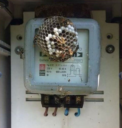 Radnik je došao očitati stanje brojila, no spriječilo ga je nešto što nikako nije mogao očekivati