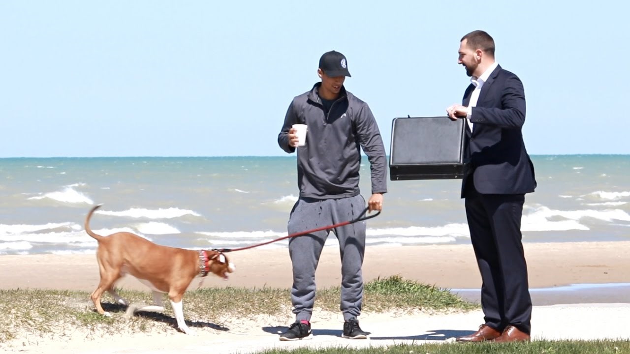 Slučajnim prolaznicima je davao nemoralne ponude za pse, evo kako su reagirali na kovčeg pun love