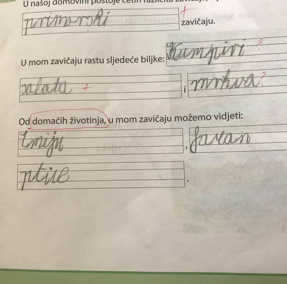 Odgovori osnovnoškolca nasmijali učiteljicu: "U mom zavičaju rastu kumpiri i mrkve, a od domaćih životinja..."