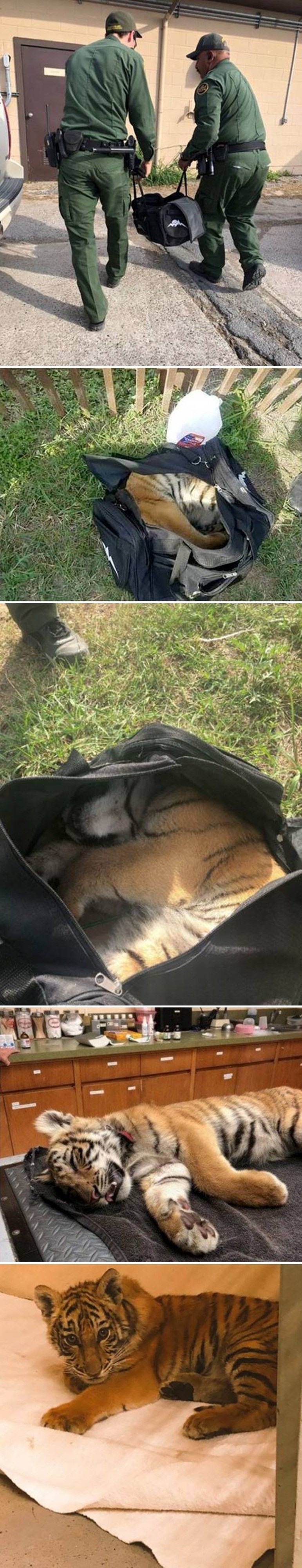 Nikada ne biste pogodili što su ilegalni imigranti pokušali prokrijumčariti u ovoj putnoj torbi