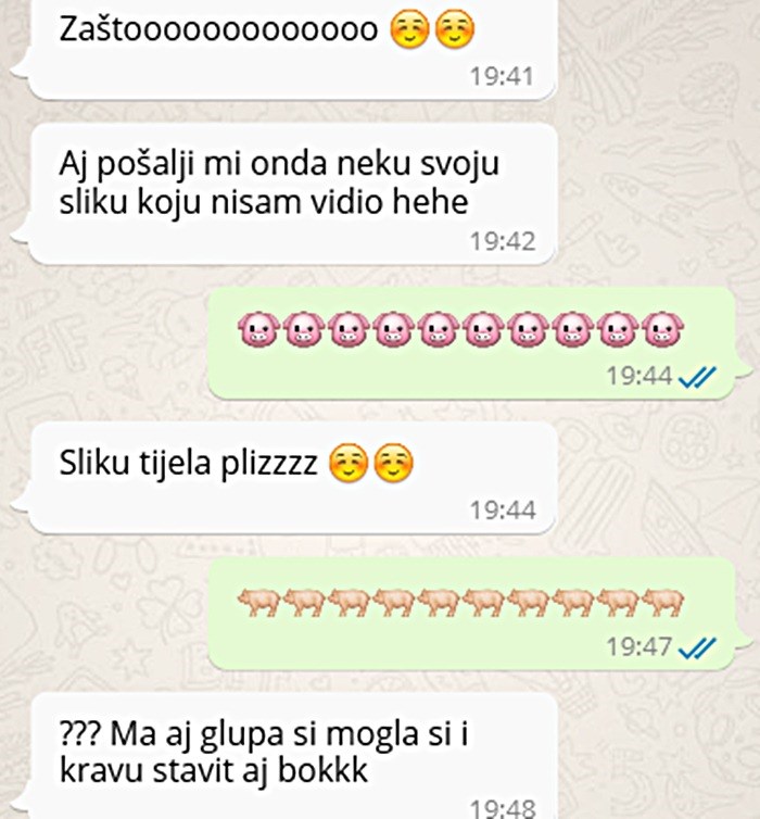 Prijatelj mu je nabavio broj djevojke koja mu se sviđa, no odustao je kad je vidio njene odgovore