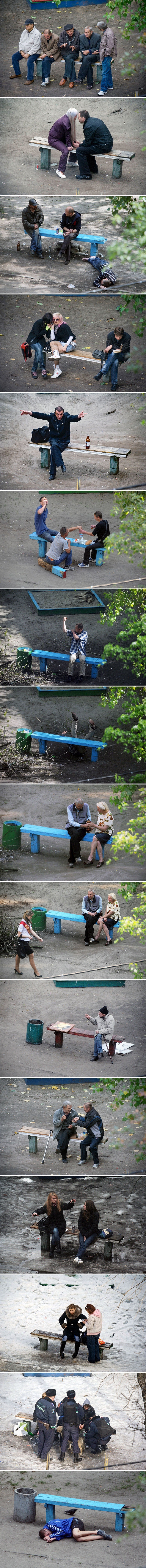 Fotograf je 10 godina promatrao istu klupu u parku, uspio je slikati više nego što je očekivao