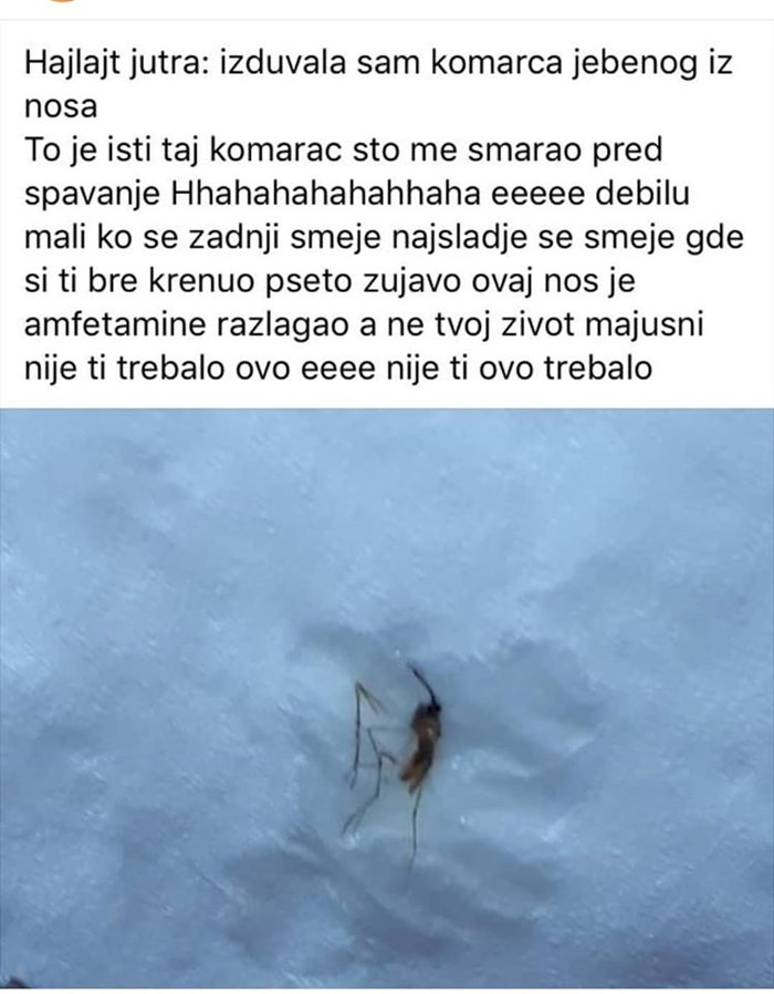 Žena se ujutro probudila s komarcem u nosu, na internetu se ponosno pohvalila kako mu se osvetila