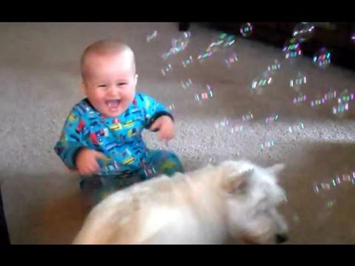 Bebe se nisu mogle prestati smijati kad su vidjele što njihovi psi rade, a roditelji su sve snimili