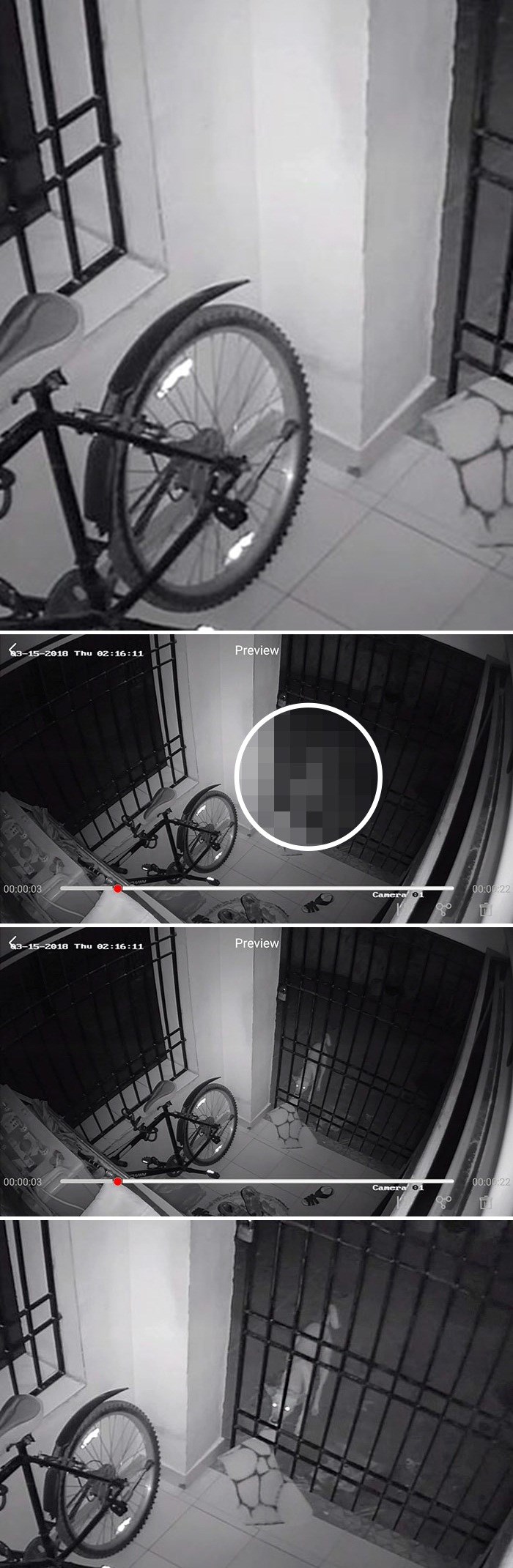 Liku je svake noći nestajao otirač pa je ugradio nadzornu kameru i otkrio neočekivanog kradljivca