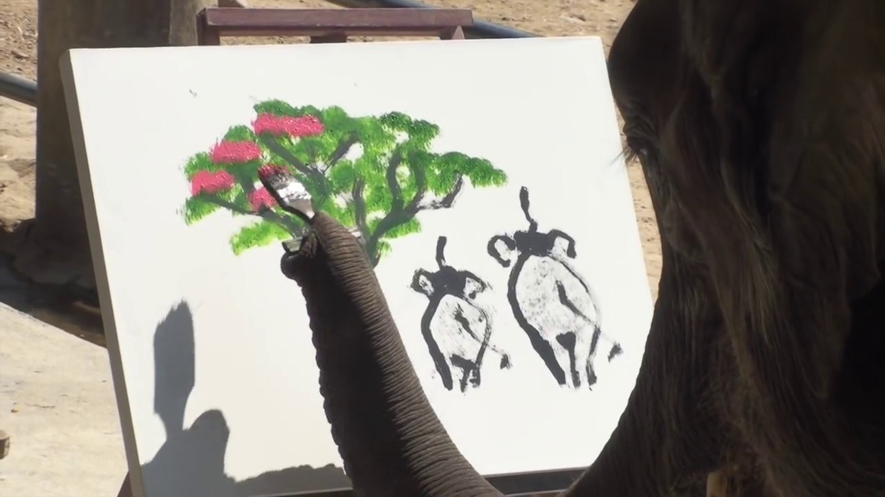 Ne vjerujete da slonovi znaju slikati bolje od nekih ljudi? Onda će vas ova snimka oduševiti