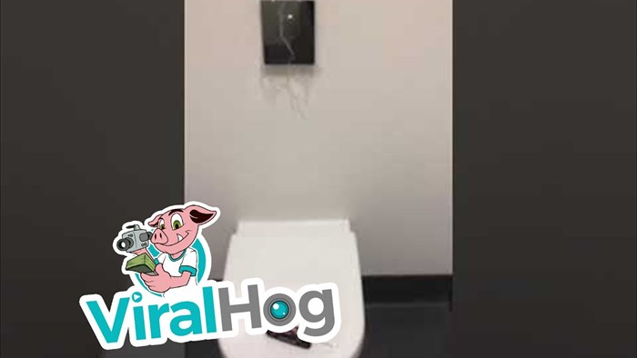 VIDEO Obitelj zvala majstora zbog "malog kvara" u WC-u, pogledajte što se dogodilo kad je pustio vodu
