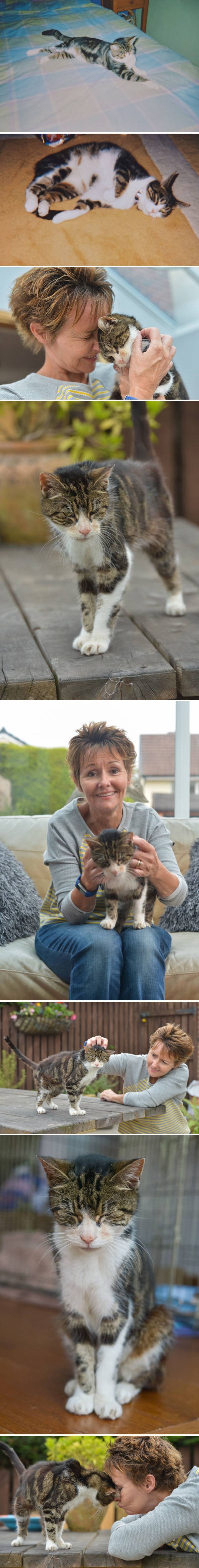 Mačka je nestala prije 13 godina, sada se konačno opet mazi sa svojom starom vlasnicom