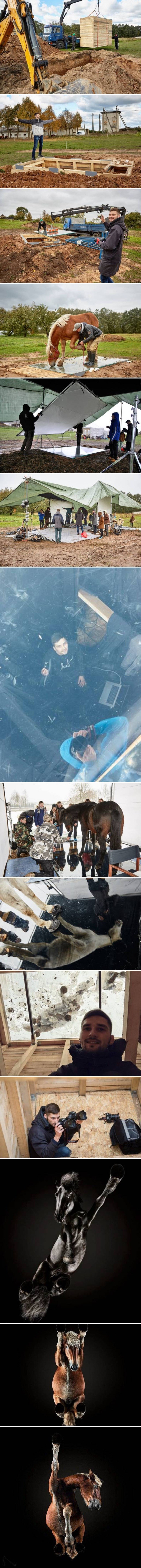 Nikad ne biste pogodili kakve veze ova rupa u zemlji ima sa živim konjima