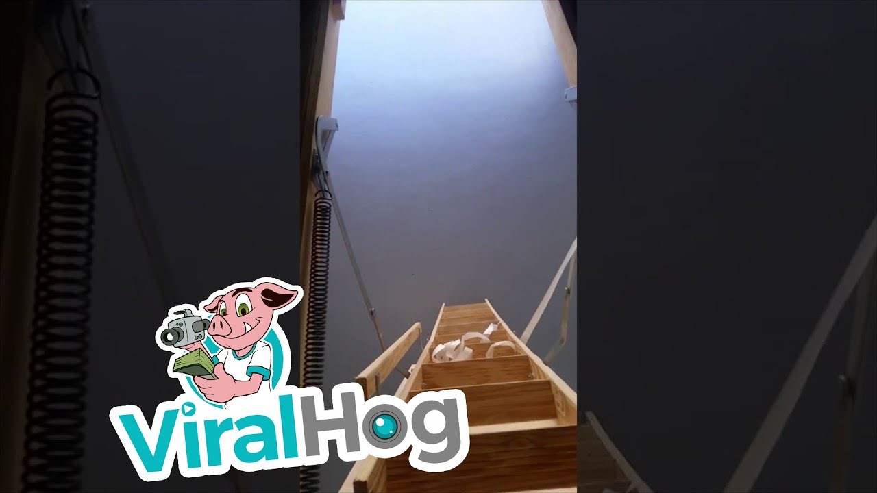 Zaposlili su ga da im renovira kuću, a onda je pronašao tajnu prostoriju, evo što je bilo u njoj