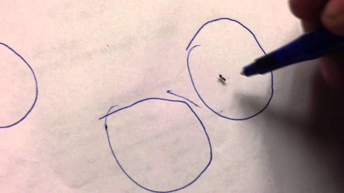 Pogledajte što se dogodilo kad je muškarac nacrtao kružnicu oko mrava koji je hodao po papiru