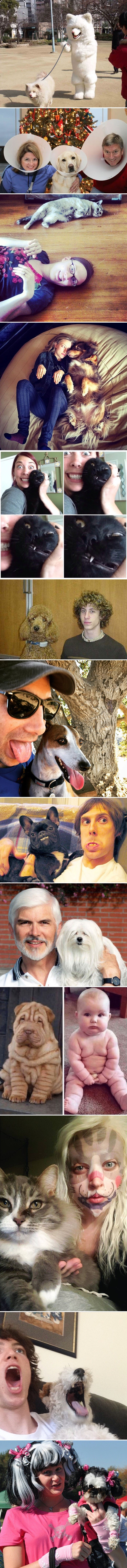 Najsmješnije slike ljudi koji se počinju ponašati kao njihovi kućni ljubimci