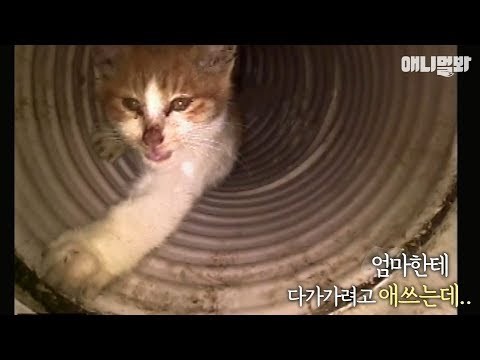 Žena je nekoliko puta dnevno bacala hranu u cijev, a onda je stigla pomoć koja je spasila malu zarobljenicu