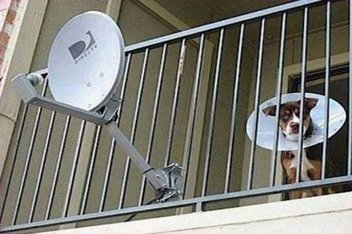 Najprije je mislio da mu susjed ima 2 satelitske antene, a onda se počeo smijati...