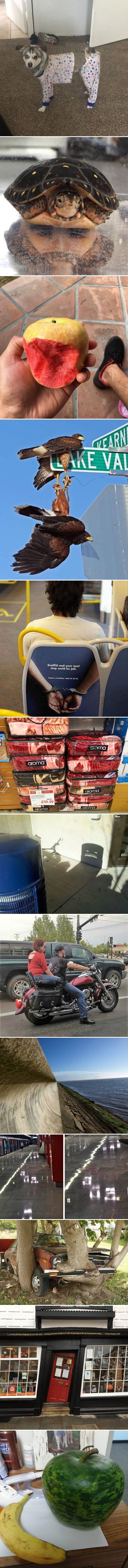 Ove neobične fotke će biti pravi mali izazov za vaše oči i um, mnoge od njih nemaju previše smisla