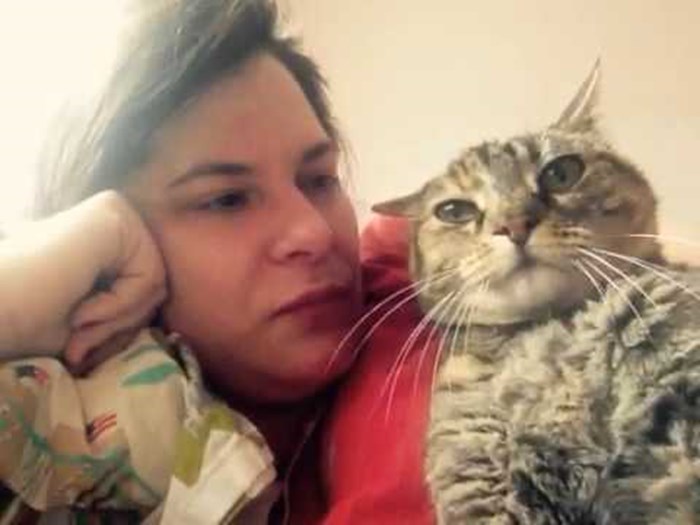 VIDEO Razmažena maca dobivala je pusice po glavi, a onda je vlasnici odgovorila želi li još