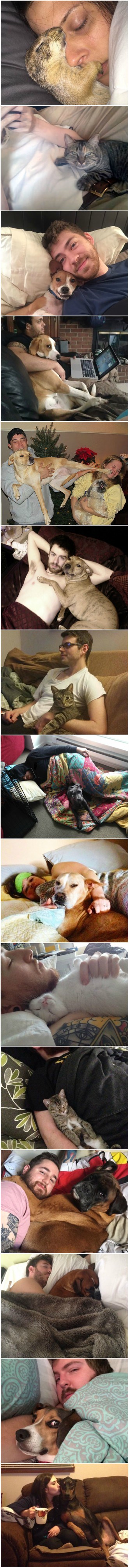 Ove su životinje ukrale životnog partnera svojim ljudima i uopće se ne kaju zbog toga