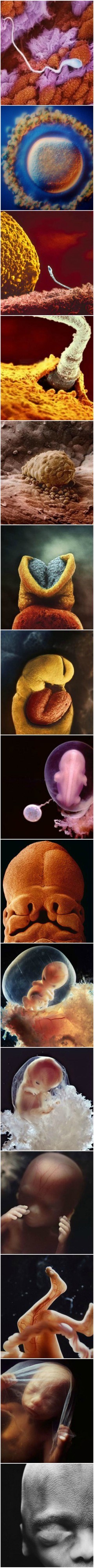 Ovaj čovjek fotografira ljudski život od samih početaka