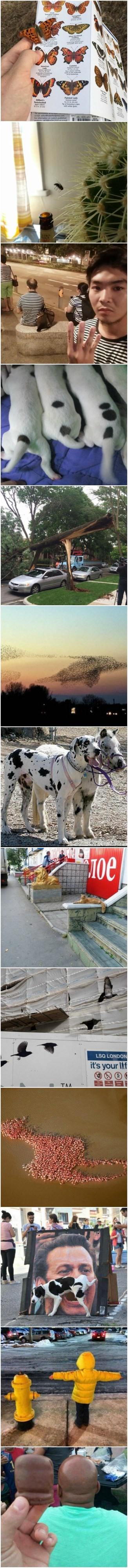 Nevjerojatne slučajnosti fotografirane u pravom trenutku