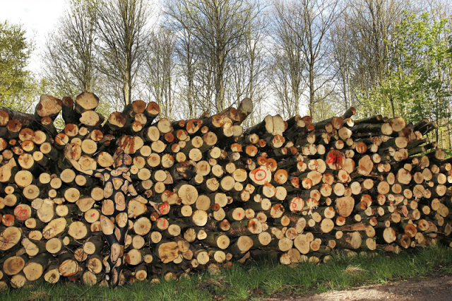 Dobro pogledajte fotografiju, možda uočite nešto čudno