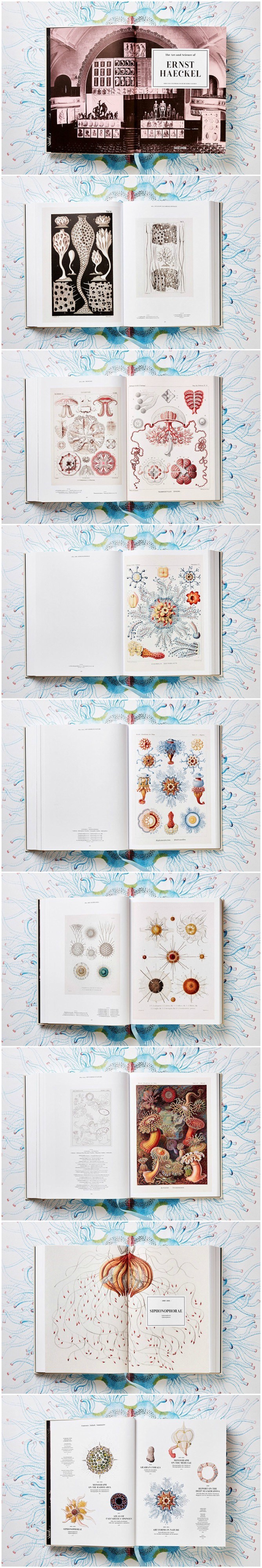 Ovo je najbolja knjiga koja je nastala u 19. stoljeću