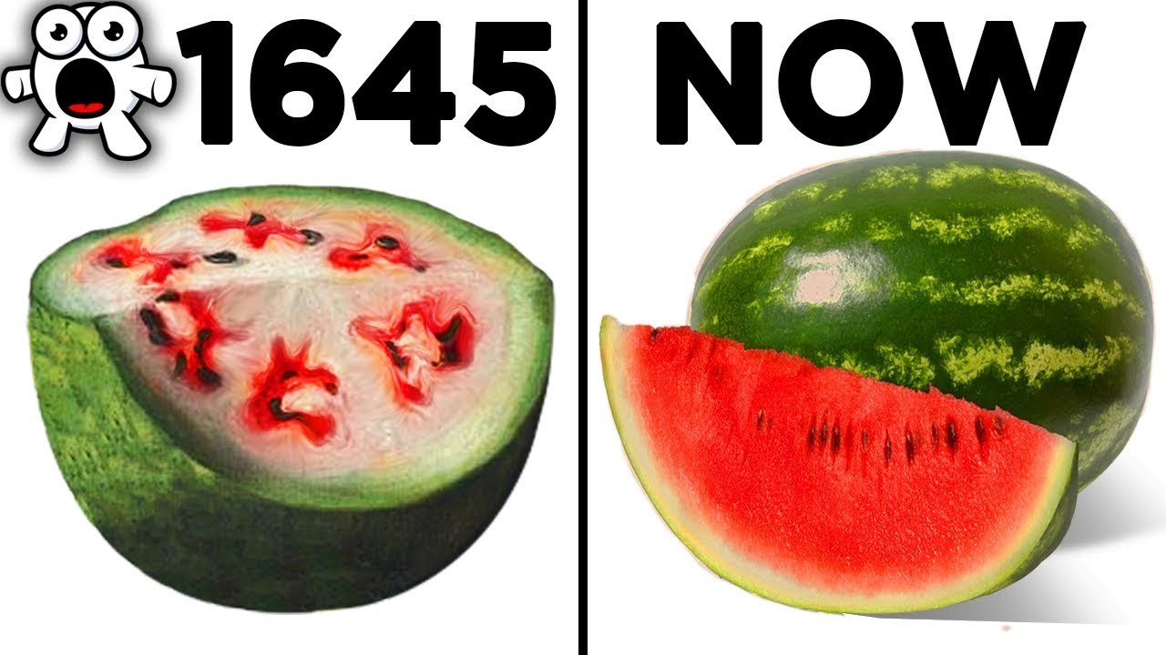 Voće i povrće nije uvijek izgledalo ovako kako izgleda danas, a ovaj VIDEO će vam to pokazati