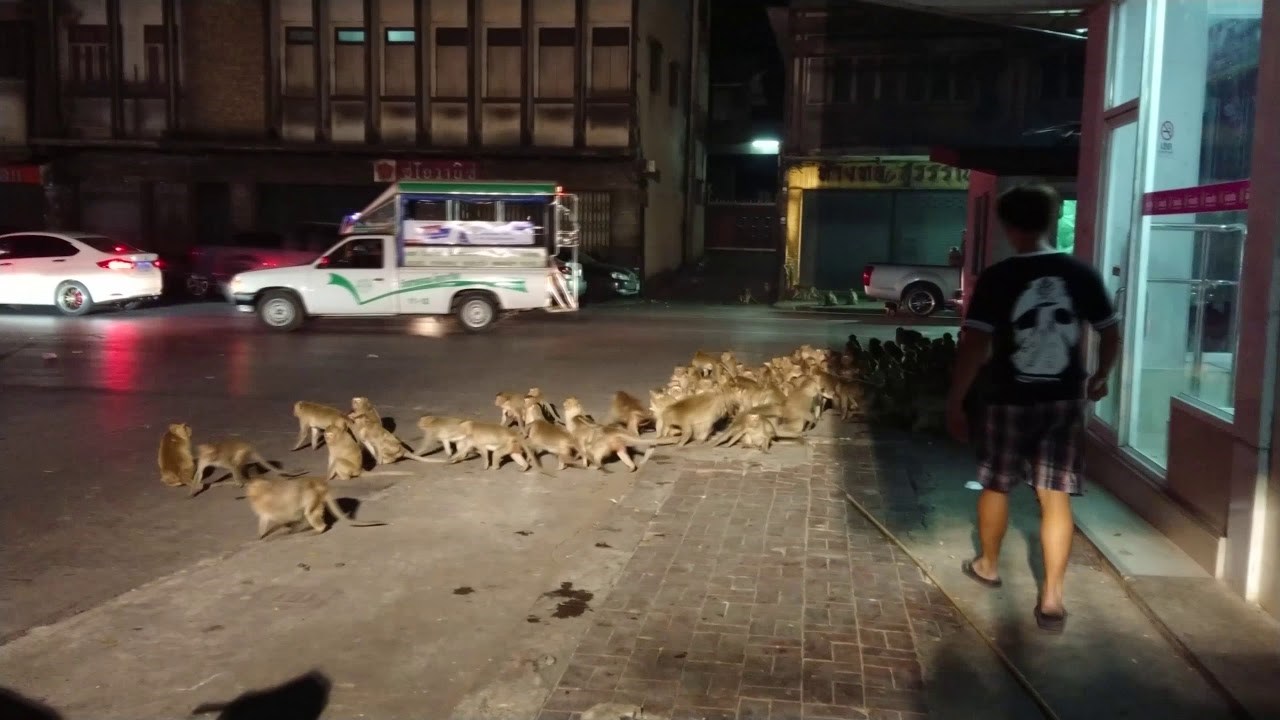 VIDEO Što biste napravili da hodate gradom i naletite na ovako čudnu pojavu?