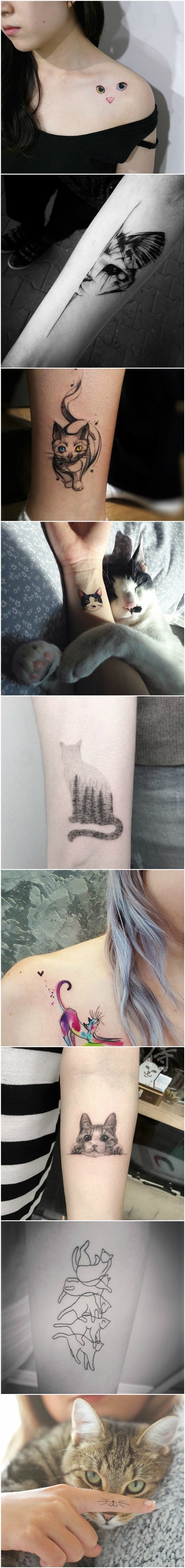 Ovim djevojkama mačke su očito bolji prijatelji od pasa kada su se ovako nešto usudile