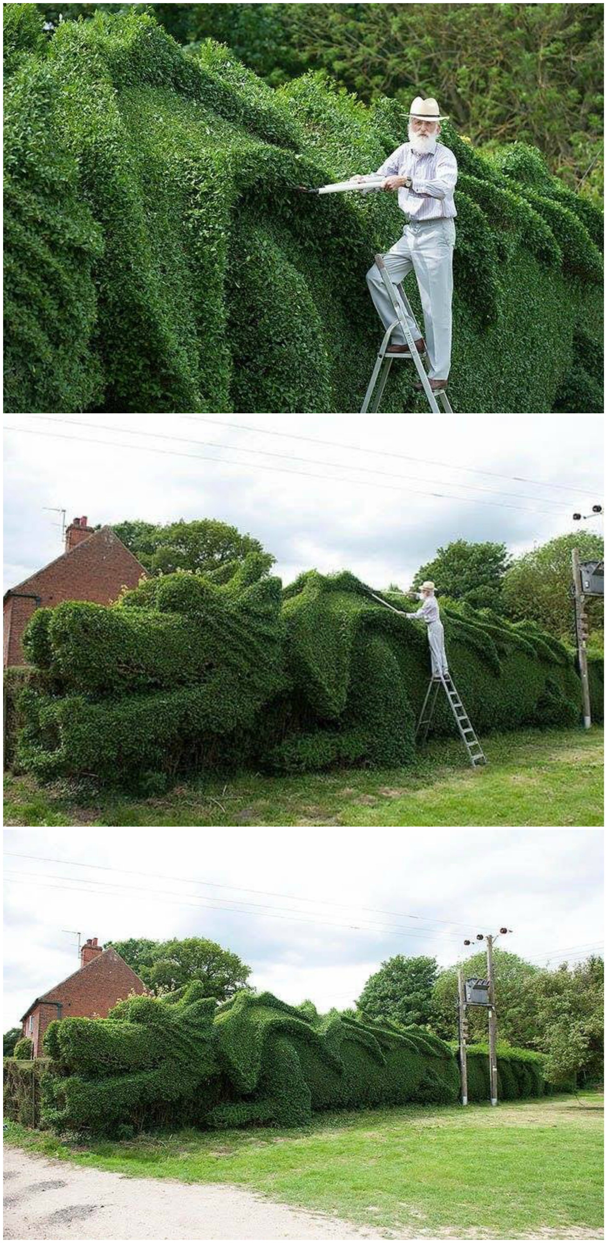 Ovaj je čovjek 10 godina uljepšavao svoju živicu