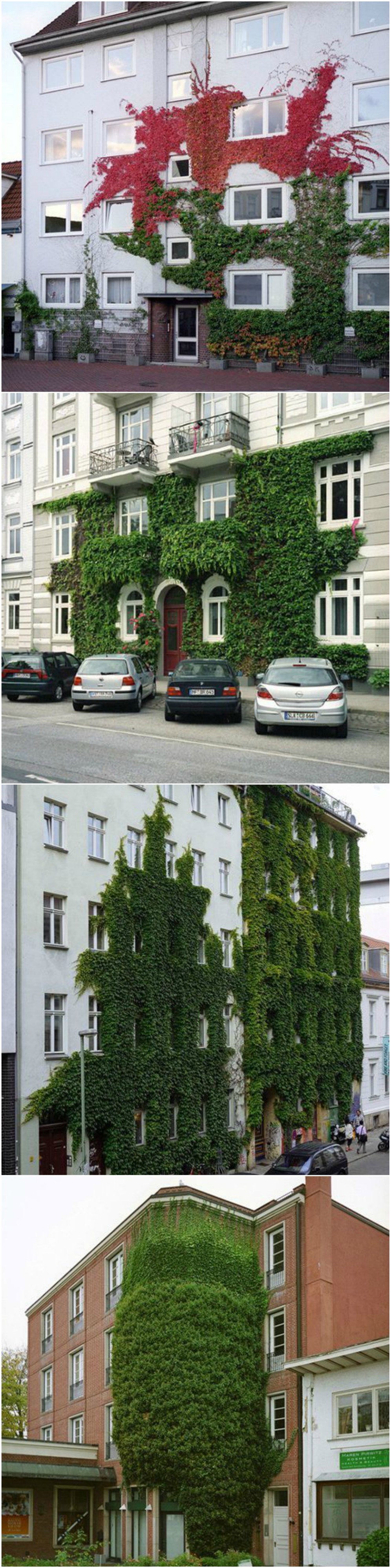 Čovjek je dobar umjetnik, a ove fotografije će nam pokazati da je priroda najbolji.