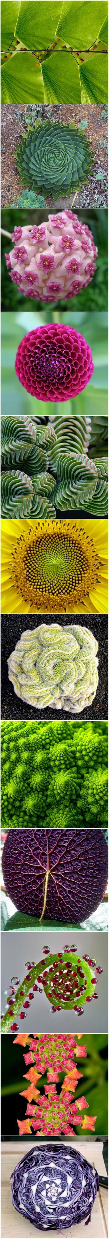 Ako ste ljubitelj simetrije, ova galerija će vam se svidjeti