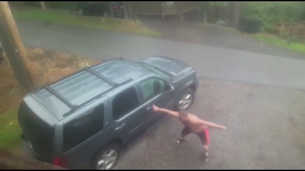 VIDEO U auto mu je uletio nepozvan i još je poveo i potomstvo!