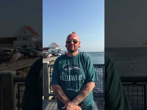 Kako se zabaviti na moru? Staviti hranu na glavu i čekati!