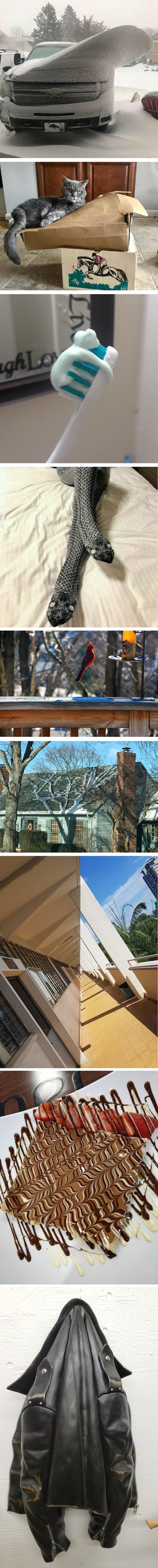 Zanimljive fotke i prizori u koje ćete morati pogledati barem dva puta 